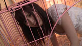 【】 The image of a beautiful girl who has become a perverted pet who is kept like a pet by a perverted uncle is too erotic! [30 photos]