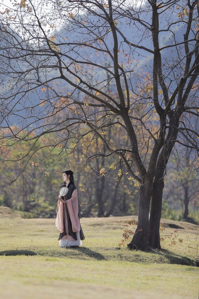 YiTuYu艺图语 Vol.1248 Mi Fei 9th image
