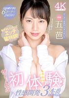 Gobashi Erotic Development 3 Production