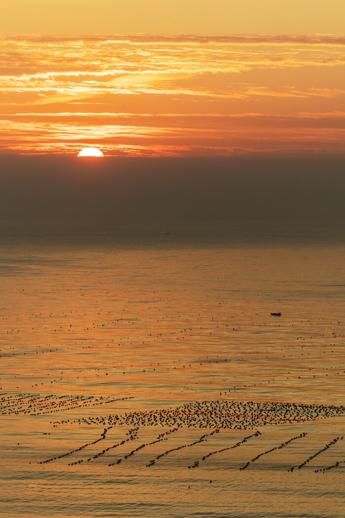 YiTuYu艺图语 Vol.1462 Tu Zi Zzz Bu Chi Hu Luo Bo 25th image